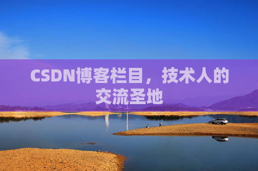 CSDN博客栏目，技术人的交流圣地